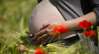 Klimawandel bringt Schwangere in Gefahr
