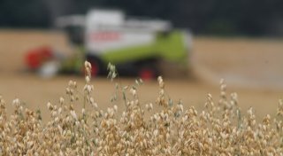 Herforder Landwirte klären auf: Warum Lebensmittel teurer werden