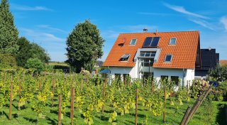 „Silver Cuvée“: Oerlinghauser erfüllen sich den Traum vom eigenen Wein