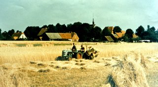 Paderborner Dokumentarfilmer soll die Senne zeigen, wie sie früher war