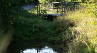 Koffer mit Leiche im Bach - Soko «Trolley» vor einem Rätsel