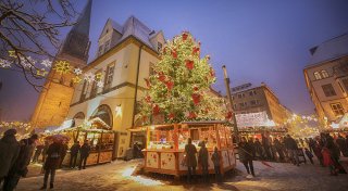 Gab es früher öfter Schnee? Alle Fakten über weiße Weihnachten in Bielefeld und OWL