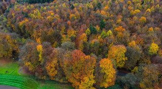 Nationalpark-Absage auch in Kleve: In Höxter gibt es neue Pläne für Schutzgebiet