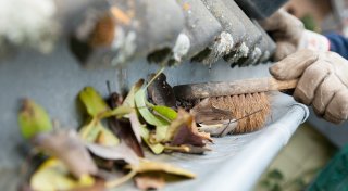 Schäden am Haus vorbeugen: Laub nicht unterschätzen