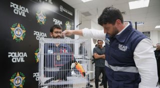 Illegaler Wildtierhandel in Rio: Polizei befreit Exoten