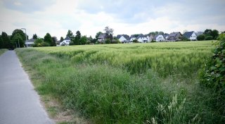 Neue Wohnsiedlung in Löhne im Gespräch - doch dafür müsste andere Wohnfläche weichen