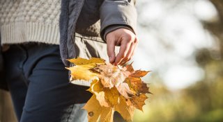 Schnief! 5 Tipps, die uns durch die Erkältungszeit helfen