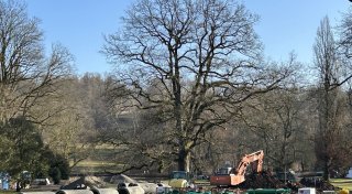 Kurpark in Bad Driburg öffnet später und der Eintritt wird teurer