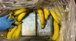 95 Kilo Kokain in Bananenkartons bei Discounter entdeckt