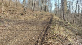 Warburg fällt Bäume am HPZ - Startschuss für den Sport- und Klimapark