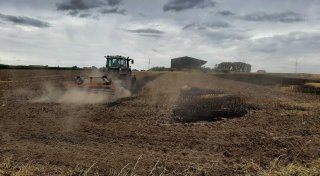 Mehrere Felder an L837 bei Borgentreich in Brand