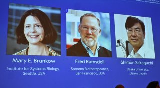 Medizin-Nobelpreis für Immunforscher aus Japan und den USA