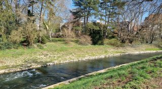 Grüne Oase an der Werre: Herfords Pläne für eine Promenade