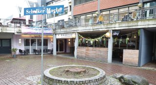 Alter Baum auf dem Schalker Markt in Höxter gefällt