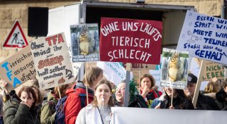 Streik in Bielefeld: Tierarztkosten drohen erneut anzusteigen