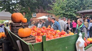 Bauernmarkt in Steinheimer Ortsteil ist ein Besuchermagnet