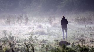 Ergiebiger Dauerregen im Südosten teils bis Montag