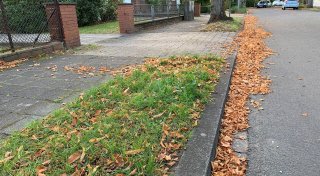 Zunehmendes Laubproblem in Gütersloh: Stadtreinigung stößt an ihre Grenzen