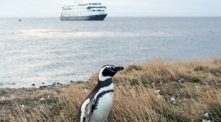 Auf Expeditionskreuzfahrt am Ende der Welt: Kap Hoorn ruft