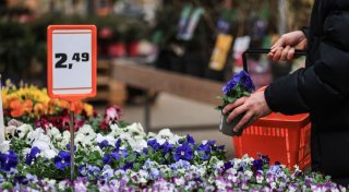 Wetter verdirbt Garten-Lust - schwieriges Jahr für Baumärkte