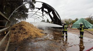 Lager auf Ponyhof gerät plötzlich in Brand - eine Frau muss ins Krankenhaus