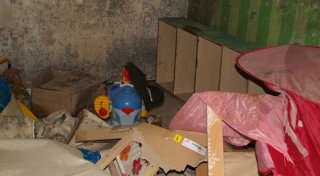 Tierschützer holen verwahrloste Katzen aus Bielefelder Messie-Wohnung