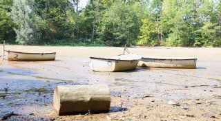 Wenig Wasser und Wirtschaftsförderer geht - Die News aus dem Kreis Paderborn