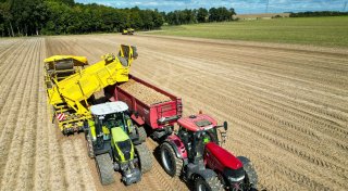 Top-Kartoffelernte - aber die Verbraucher profitieren kaum