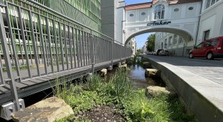 Stopp der Offenlegung der Bielefelder Lutter? Entscheidung nach Ampel-Aus gefallen