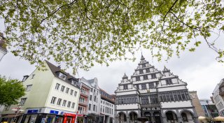 Streit um Baumschutzsatzung in Paderborn: Regelung soll gekippt werden