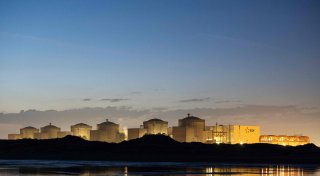 Quallen legen größtes französisches Atomkraftwerk lahm