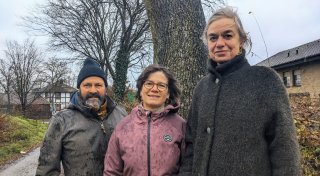Bürger wollen Bäume in Borgentreich retten