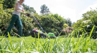 Wie oft Rasen mähen im Sommer?