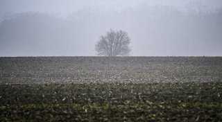 Temperatursturz in OWL: Was Wetterfühlige bei Beschwerden tun können