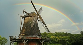 Nach hitziger Debatte: Kompromiss-Vorschlag zum Freilichtmuseum Detmold ist beschlossen