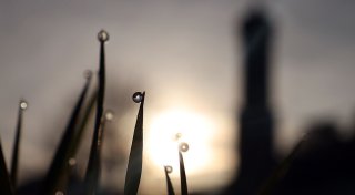 Oft über 20 Grad und endlich Regen: Wetter schwingt um