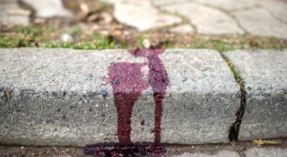 Nachrichten aus Bielefeld: TikTok-Liebesgeschichte aus Bielefeld geht viral, auf der Eckendorfer Straße drohen Staus