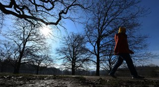 Winterwetter ade: Temperaturen werden zweistellig