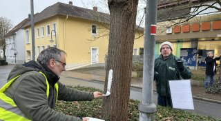 Großer Unmut von Umweltschützern: 27 Bäumen werden in Enger gefällt