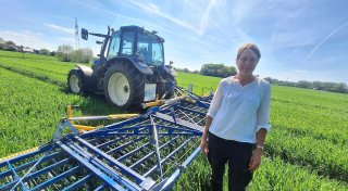 Müll und Hundekot auf Feldern in Bünde: Landwirtin erklärt, was daran problematisch ist