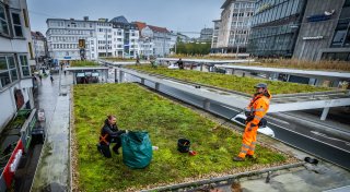 Unkrautjäten in luftiger Höhe: Hier befindet sich Bielefelds wohl unauffälligste Grünanlage
