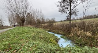 Wasser im Nebengewässer der Else in Bünde seltsam verfärbt: Was steckt dahinter?
