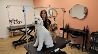 Neuer Hundesalon in Warburg eröffnet: Waschen - schneiden - föhnen für Vierbeiner