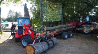 Holzkunst in Nieheim: Von Gegenständen für den Alltag bis zu ganzen Tiny Houses