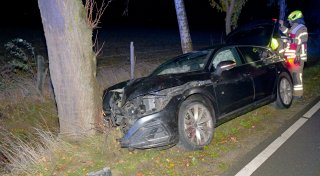 25-Jähriger weicht Wildtier aus und prallt mit dem Auto gegen einen Baum