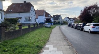 Diese Straße in Herford soll 20 weitere Bäume bekommen