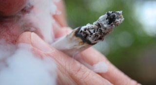 Studie zu Cannabis: Steigender Konsumtrend