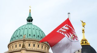 Brandenburg-Umfragen: AfD vor SPD - Gute Noten für Woidke