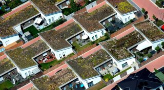 Dachbegrünung: Planung, Bepflanzung und Kosten im Überblick