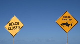 Haiattacke in Australien - Frau stirbt, Mann schwer verletzt